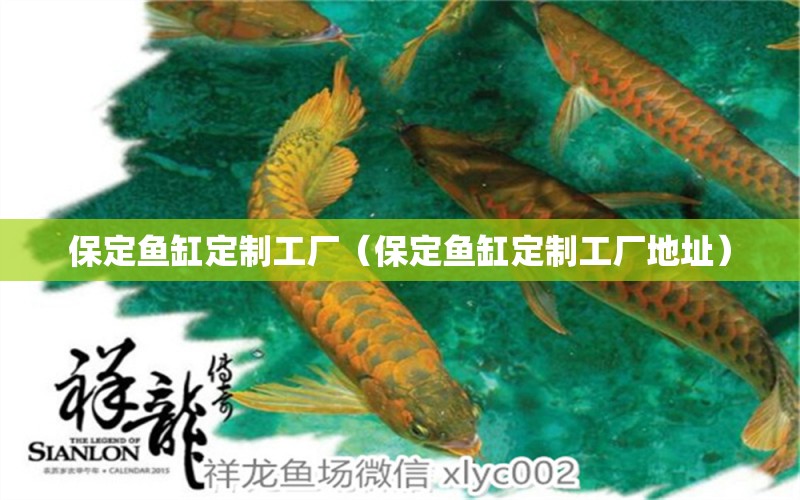 保定魚缸定制工廠（保定魚缸定制工廠地址）