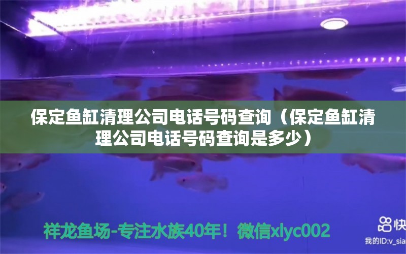 保定魚缸清理公司電話號碼查詢（保定魚缸清理公司電話號碼查詢是多少）