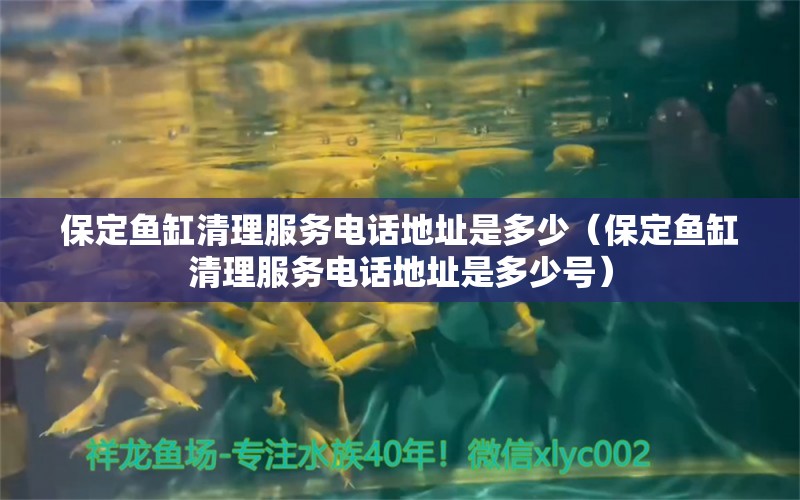 保定魚(yú)缸清理服務(wù)電話地址是多少（保定魚(yú)缸清理服務(wù)電話地址是多少號(hào)）