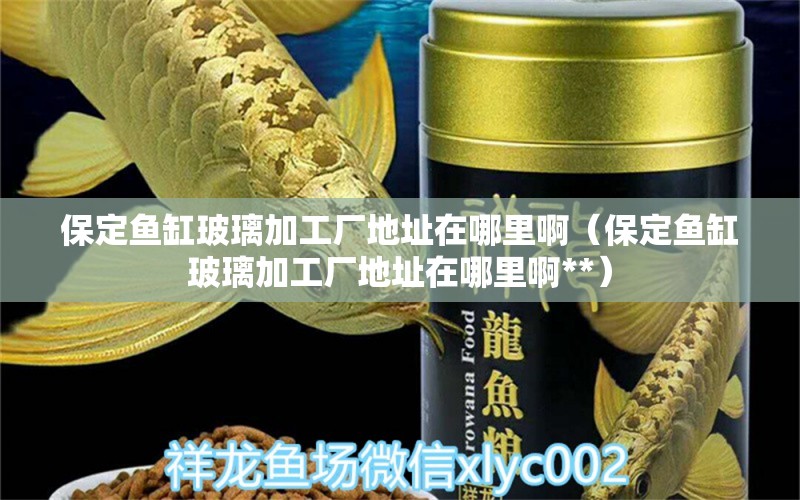 保定魚缸玻璃加工廠地址在哪里?。ū６~缸玻璃加工廠地址在哪里啊**） 森森魚缸