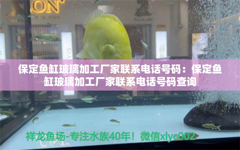 保定魚缸玻璃加工廠家聯(lián)系電話號碼：保定魚缸玻璃加工廠家聯(lián)系電話號碼查詢