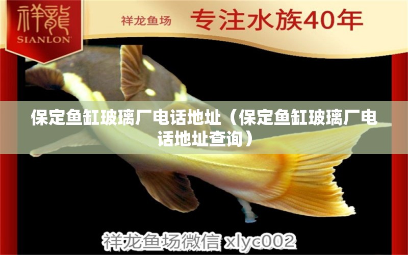 保定魚缸玻璃廠電話地址（保定魚缸玻璃廠電話地址查詢） 祥龍水族醫(yī)院