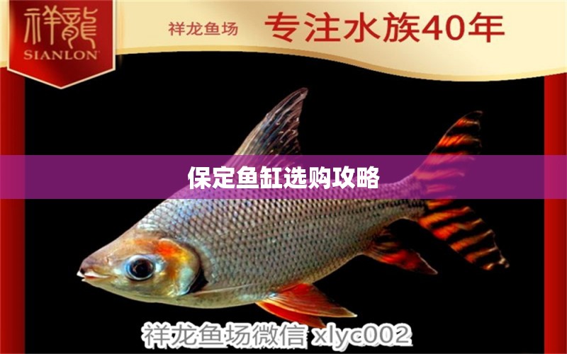 保定魚缸選購攻略 養(yǎng)魚知識