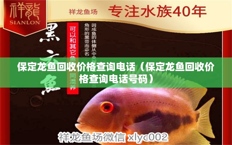 保定龍魚回收價(jià)格查詢電話（保定龍魚回收價(jià)格查詢電話號(hào)碼） 祥龍水族醫(yī)院