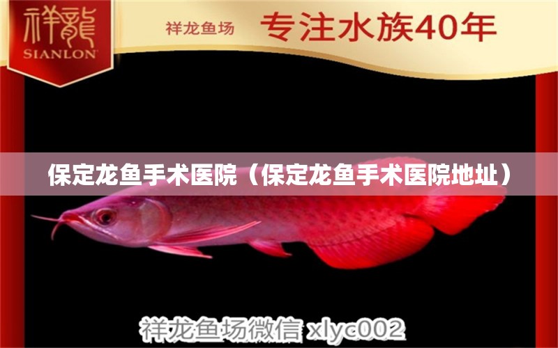 保定龍魚手術醫(yī)院（保定龍魚手術醫(yī)院地址） 祥龍藍珀金龍魚