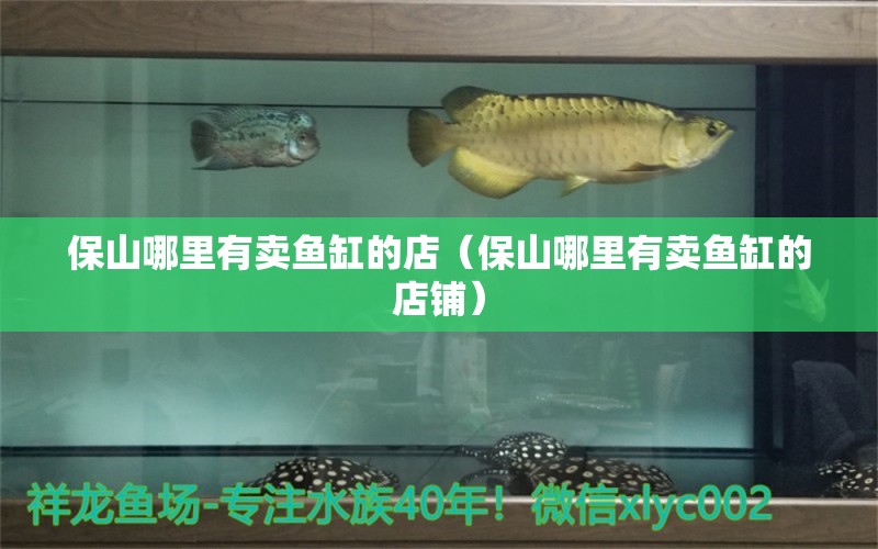 保山哪里有賣魚缸的店（保山哪里有賣魚缸的店鋪） 其他品牌魚缸