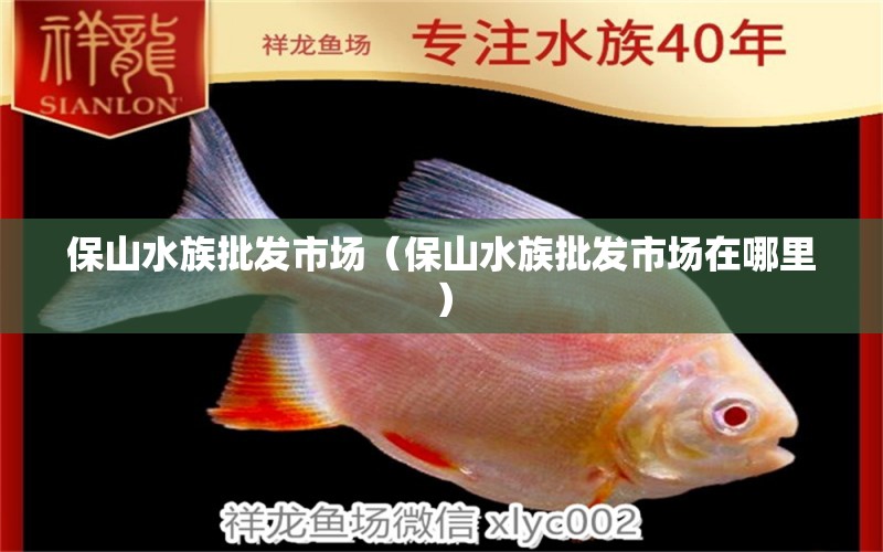 保山水族批發(fā)市場（保山水族批發(fā)市場在哪里）