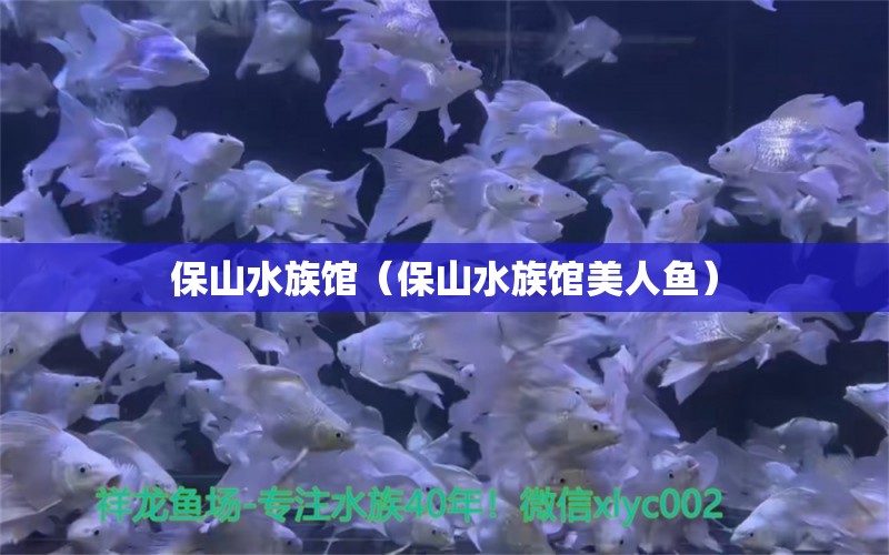 保山水族館（保山水族館美人魚） 觀賞魚市場