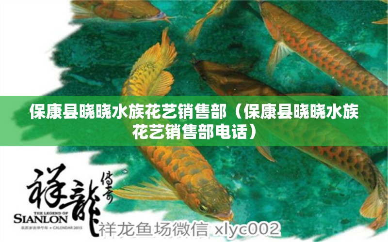 保康縣曉曉水族花藝銷售部（?？悼h曉曉水族花藝銷售部電話） 全國(guó)水族館企業(yè)名錄