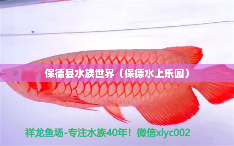 保德縣水族世界（保德水上樂園） 全國水族館企業(yè)名錄