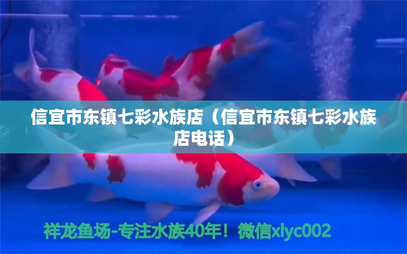 信宜市東鎮(zhèn)七彩水族店（信宜市東鎮(zhèn)七彩水族店電話） 全國水族館企業(yè)名錄