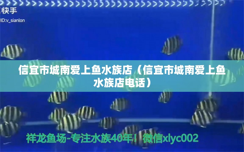 信宜市城南愛上魚水族店（信宜市城南愛上魚水族店電話） 全國水族館企業(yè)名錄