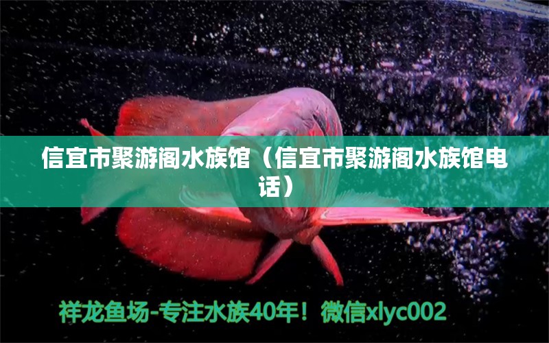 信宜市聚游閣水族館（信宜市聚游閣水族館電話） 全國水族館企業(yè)名錄