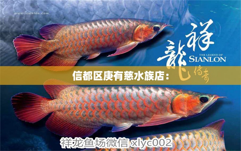 信都區(qū)庚有慈水族店：