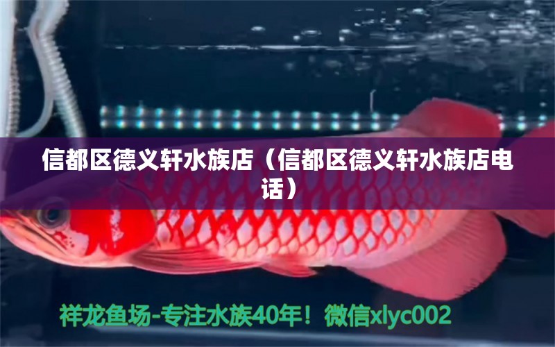 信都區(qū)德義軒水族店（信都區(qū)德義軒水族店電話）