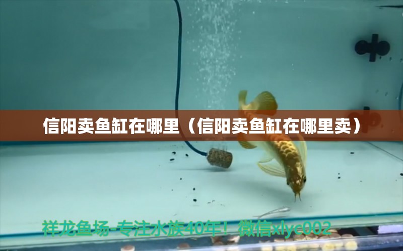 信陽賣魚缸在哪里（信陽賣魚缸在哪里賣） 其他品牌魚缸