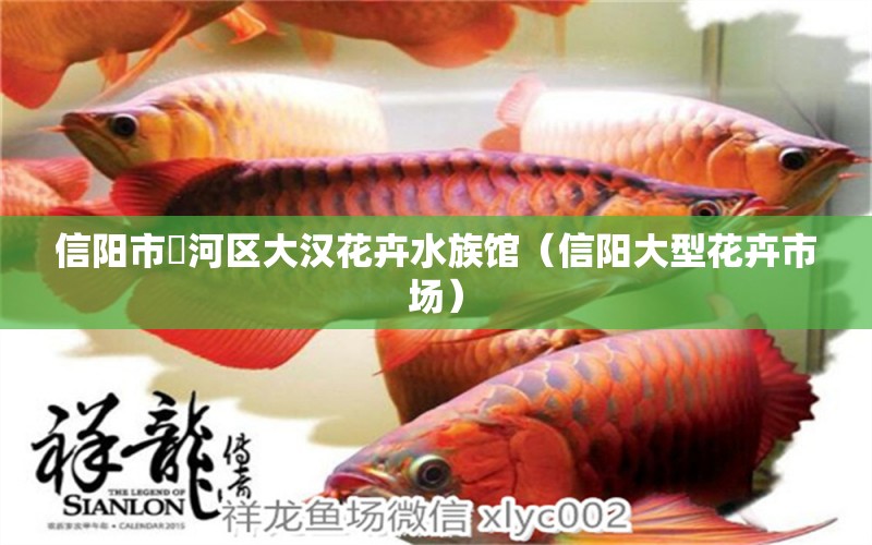 信陽(yáng)市浉河區(qū)大漢花卉水族館（信陽(yáng)大型花卉市場(chǎng)） 全國(guó)水族館企業(yè)名錄