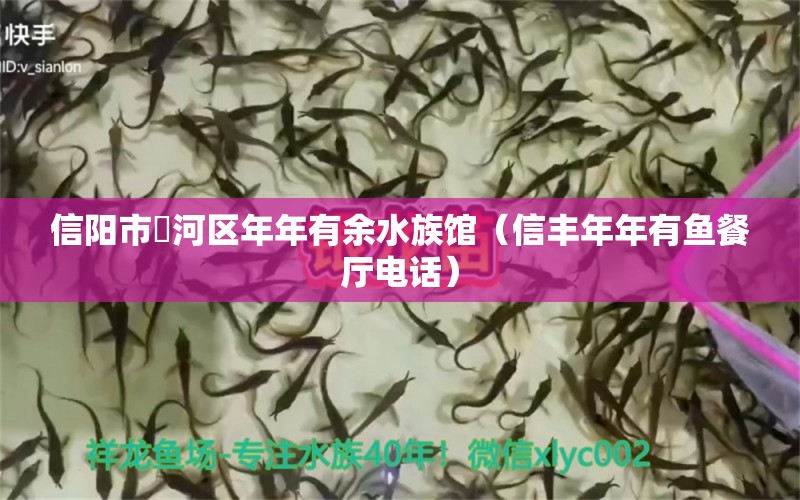 信陽市浉河區(qū)年年有余水族館（信豐年年有魚餐廳電話）