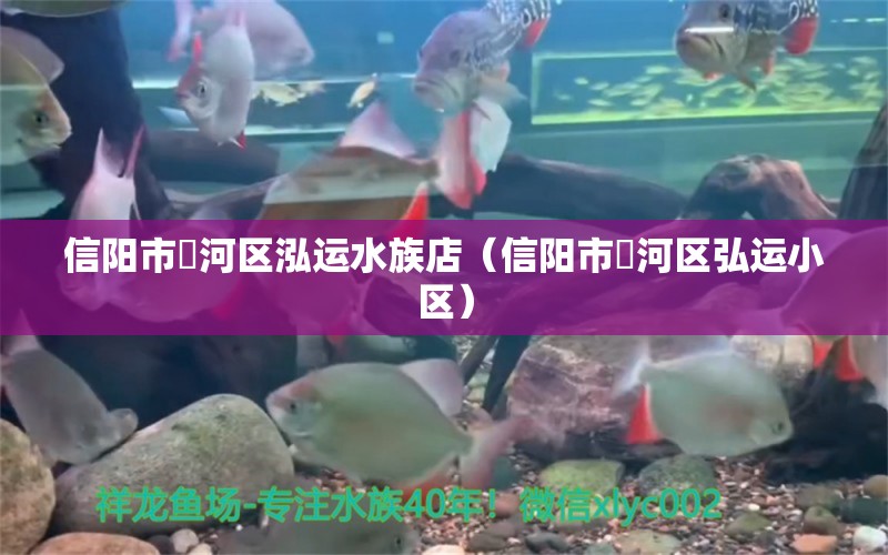 信陽市浉河區(qū)泓運水族店（信陽市浉河區(qū)弘運小區(qū)）