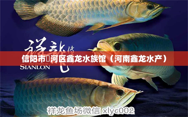 信陽(yáng)市浉河區(qū)鑫龍水族館（河南鑫龍水產(chǎn)） 全國(guó)水族館企業(yè)名錄