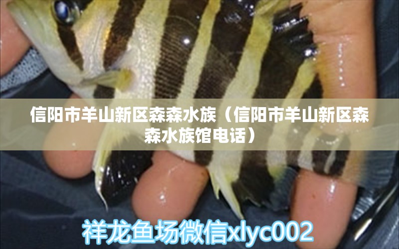 信陽市羊山新區(qū)森森水族（信陽市羊山新區(qū)森森水族館電話）