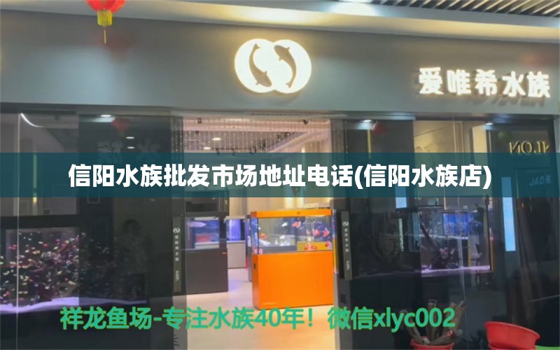 信陽(yáng)水族批發(fā)市場(chǎng)地址電話(信陽(yáng)水族店) 觀賞魚(yú)水族批發(fā)市場(chǎng)