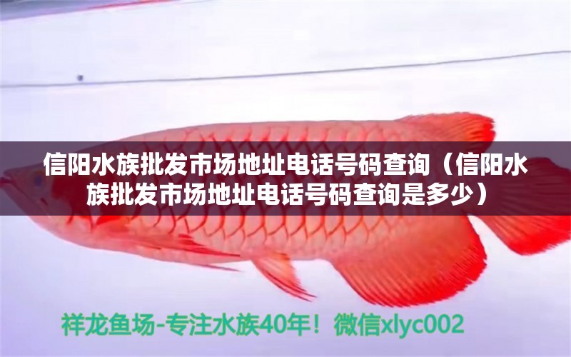 信陽(yáng)水族批發(fā)市場(chǎng)地址電話號(hào)碼查詢（信陽(yáng)水族批發(fā)市場(chǎng)地址電話號(hào)碼查詢是多少）