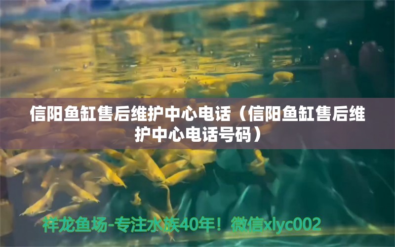 信陽魚缸售后維護(hù)中心電話（信陽魚缸售后維護(hù)中心電話號碼） 其他品牌魚缸