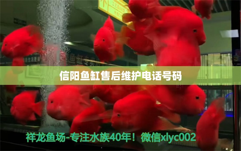 信陽(yáng)魚缸售后維護(hù)電話號(hào)碼 其他品牌魚缸