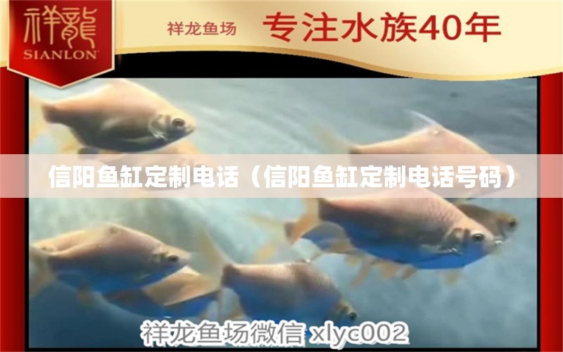 信陽(yáng)魚(yú)缸定制電話（信陽(yáng)魚(yú)缸定制電話號(hào)碼）