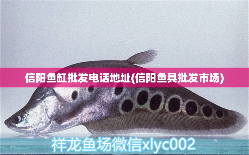 信陽魚缸批發(fā)電話地址(信陽魚具批發(fā)市場)