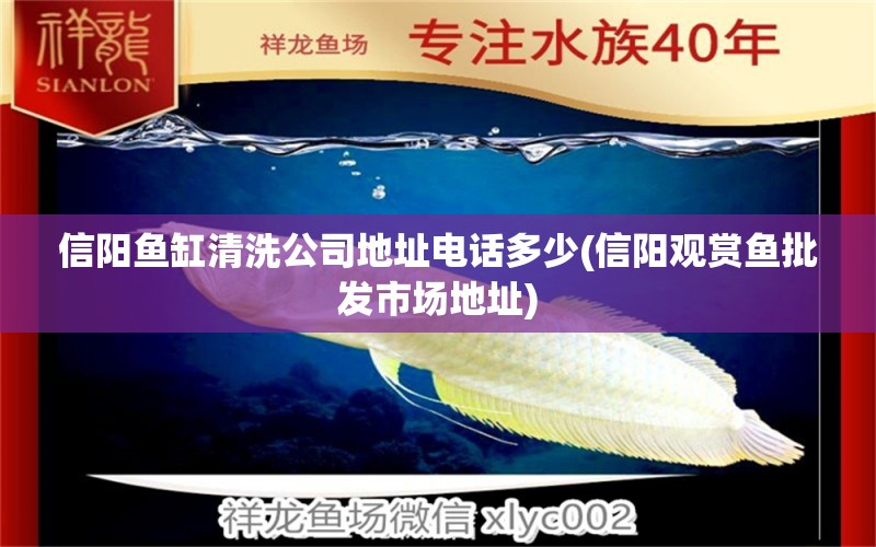 信陽(yáng)魚(yú)缸清洗公司地址電話多少(信陽(yáng)觀賞魚(yú)批發(fā)市場(chǎng)地址) 觀賞魚(yú)批發(fā) 第1張