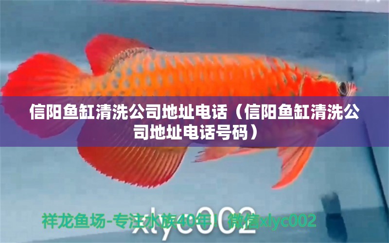 信陽魚缸清洗公司地址電話（信陽魚缸清洗公司地址電話號碼） 觀賞魚市場（混養(yǎng)魚）