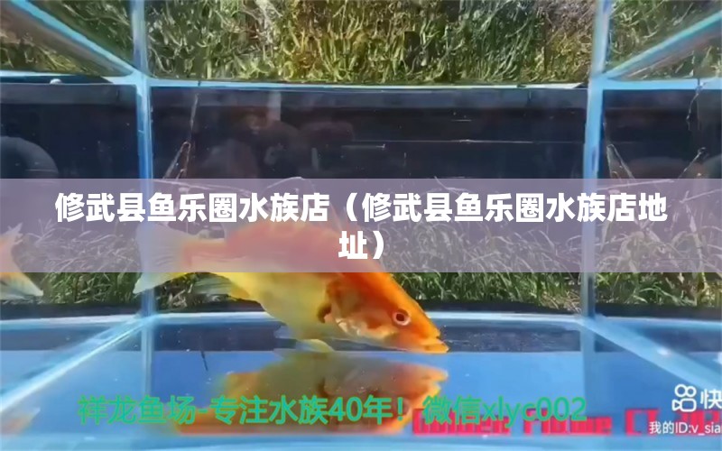 修武縣魚樂圈水族店（修武縣魚樂圈水族店地址）