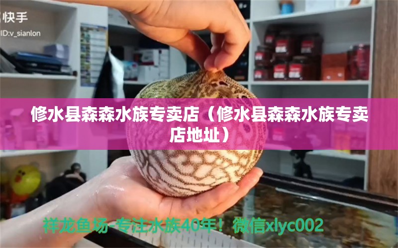 修水縣森森水族專賣店（修水縣森森水族專賣店地址） 全國水族館企業(yè)名錄