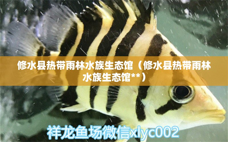 修水縣熱帶雨林水族生態(tài)館（修水縣熱帶雨林水族生態(tài)館**）