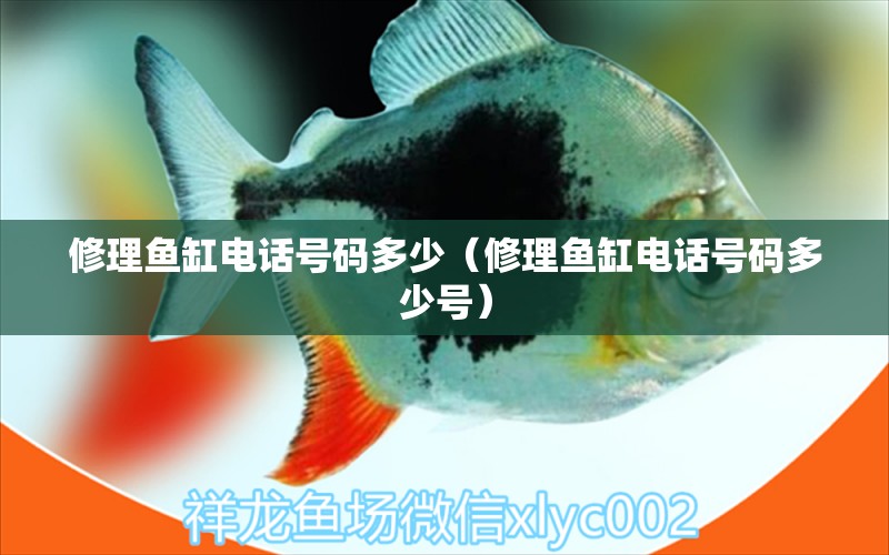 修理魚缸電話號碼多少（修理魚缸電話號碼多少號） 其他品牌魚缸