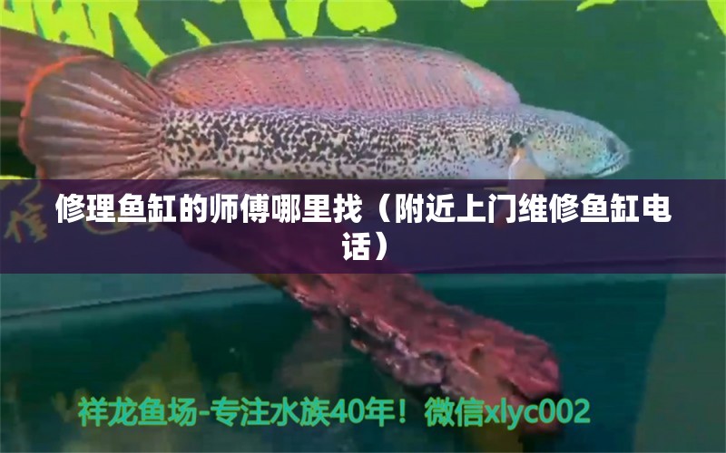 修理魚缸的師傅哪里找（附近上門維修魚缸電話） 其他品牌魚缸