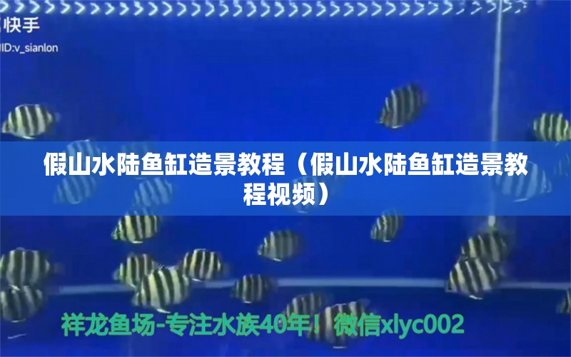 假山水陸魚缸造景教程（假山水陸魚缸造景教程視頻） 魚糧魚藥