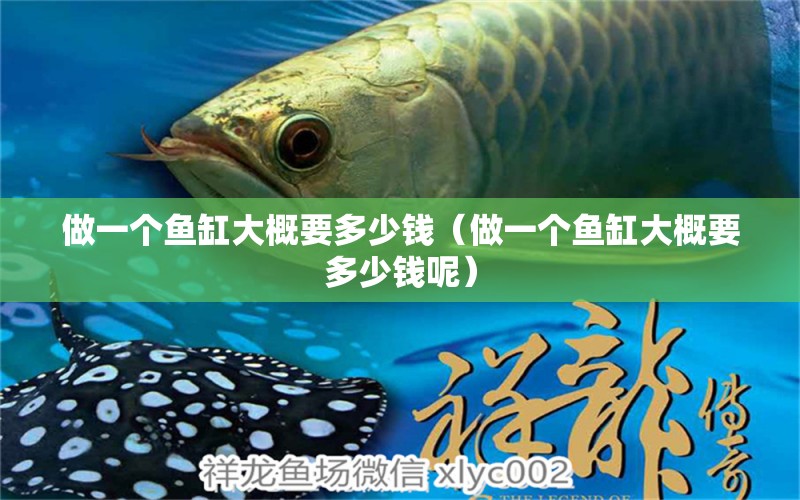 做一個魚缸大概要多少錢（做一個魚缸大概要多少錢呢）