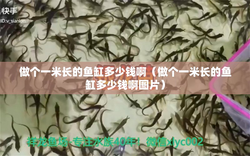 做個(gè)一米長的魚缸多少錢?。ㄗ鰝€(gè)一米長的魚缸多少錢啊圖片）