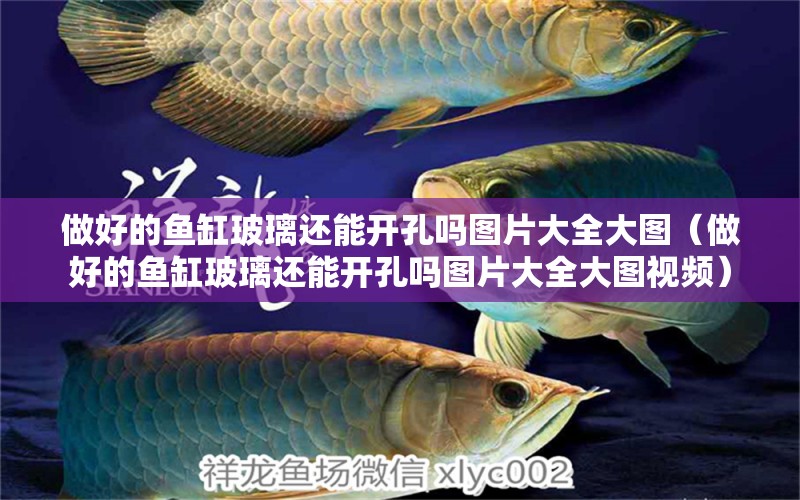 做好的魚缸玻璃還能開孔嗎圖片大全大圖（做好的魚缸玻璃還能開孔嗎圖片大全大圖視頻）