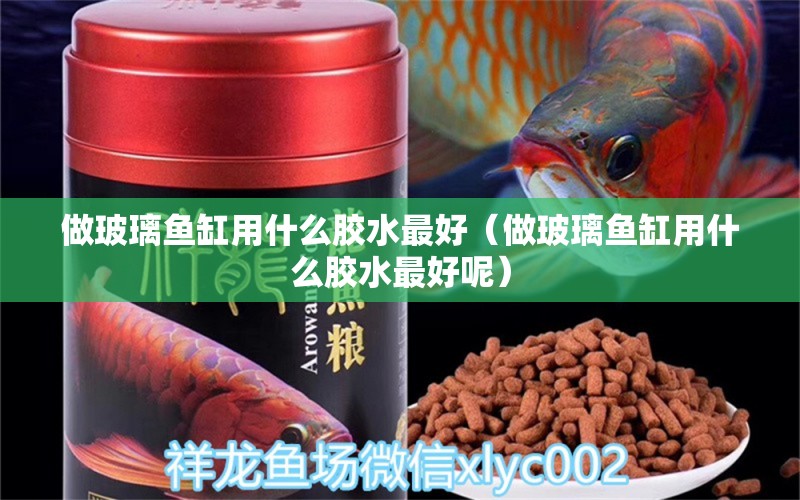 做玻璃魚缸用什么膠水最好（做玻璃魚缸用什么膠水最好呢）