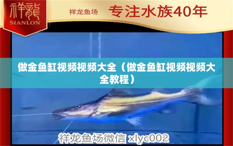 做金魚缸視頻視頻大全（做金魚缸視頻視頻大全教程） 祥龍水族醫(yī)院