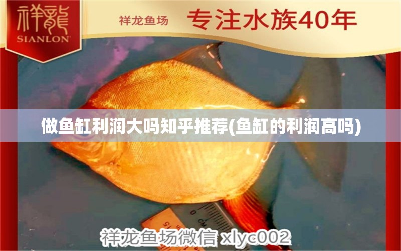 做魚缸利潤(rùn)大嗎知乎推薦(魚缸的利潤(rùn)高嗎) 喂食器 第2張