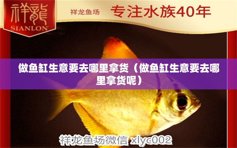 做魚缸生意要去哪里拿貨（做魚缸生意要去哪里拿貨呢） 祥龍水族醫(yī)院