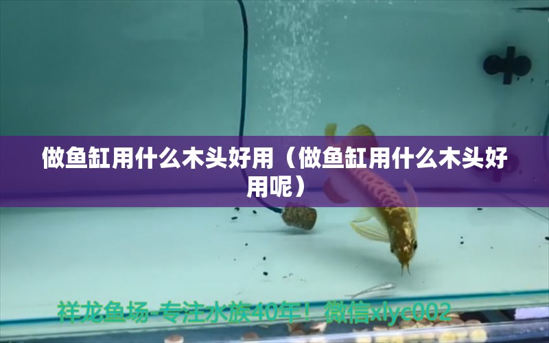 做魚缸用什么木頭好用（做魚缸用什么木頭好用呢）