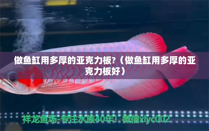 做魚缸用多厚的亞克力板?（做魚缸用多厚的亞克力板好）