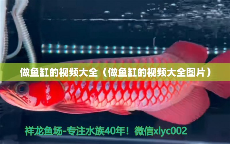 做魚缸的視頻大全（做魚缸的視頻大全圖片）