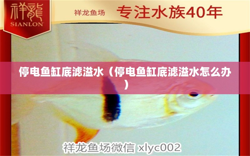 停電魚缸底濾溢水（停電魚缸底濾溢水怎么辦）